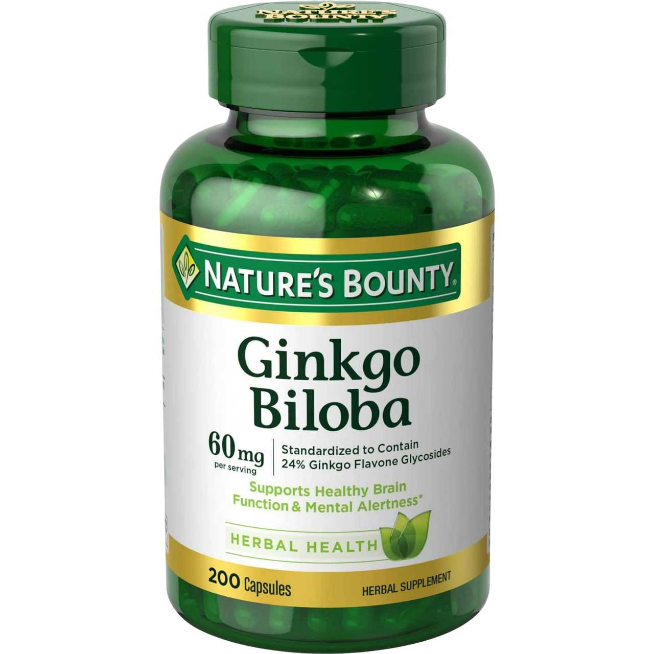 Ginkgo Biloba